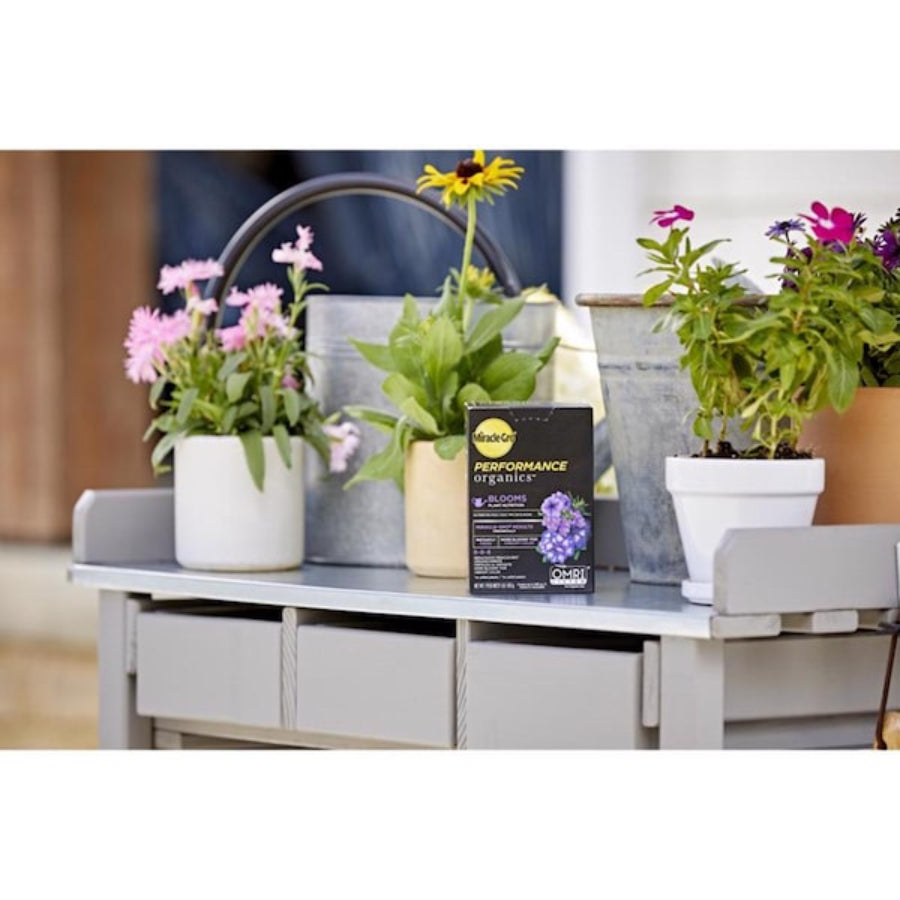 سكوتس ميراكل جرو غذاء نباتات بلومز إم جي إل بي - ١ رطل