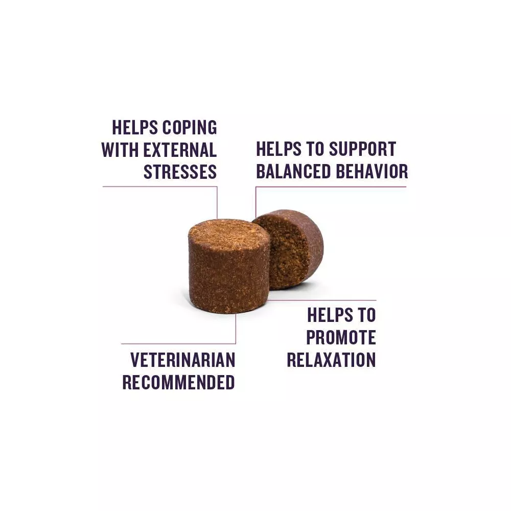 بيت ارمور مكمل غذائي قابل للمضغ للكلاب كلايمنج بنكهة مدخنة ٦٠ قطعة – ١٤٠ غ